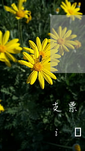 支票與本票、匯票的異同點(diǎn)是什么